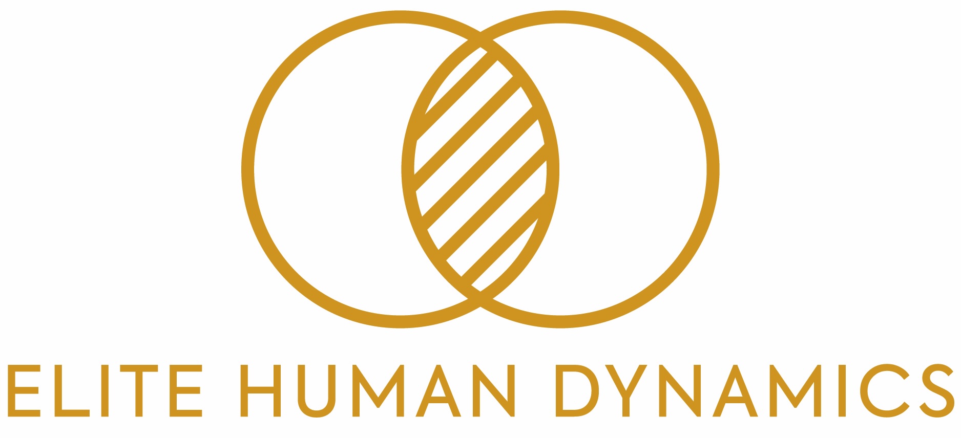 Elite Human Dynamics